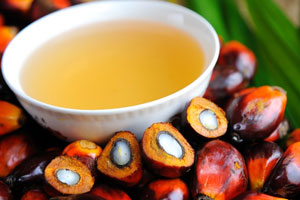 RBD Palm Oilen